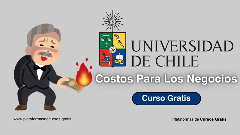 Curso de Costos y Presupuestos: Optimiza Recursos y Maximiza Ganancias