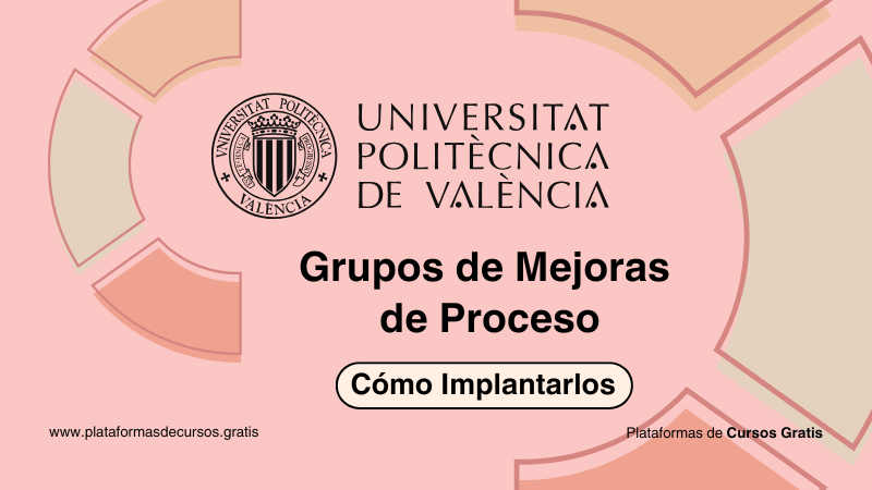 Curso de Ingeniería de Procesos Gratis, Optimiza y Mejora la Eficiencia Empresarial
