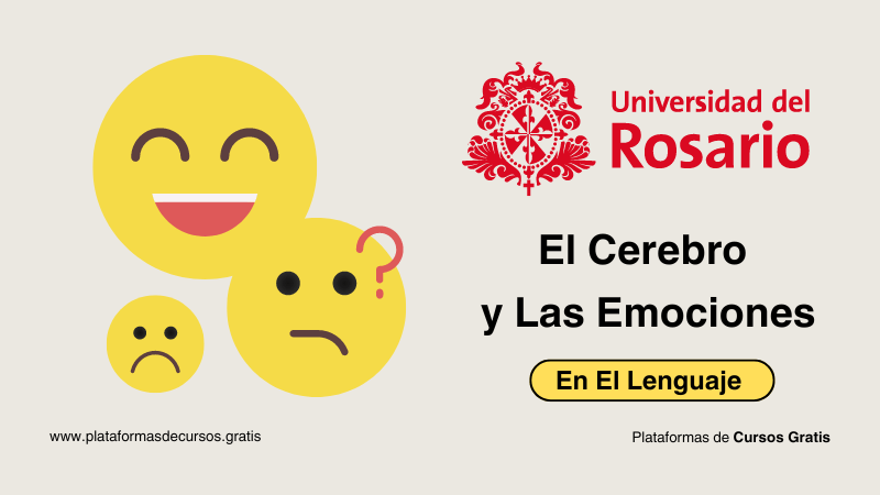 Curso de Neurociencias a Distancia
