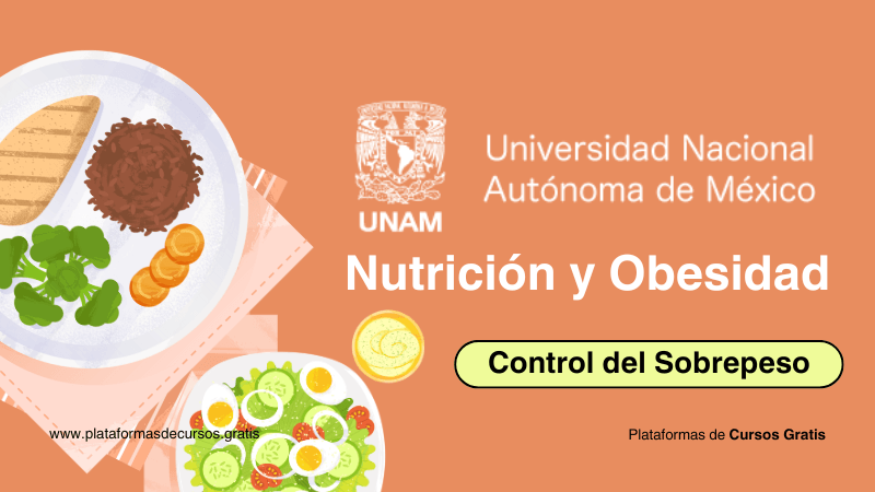 Curso de Nutrición y Dietética Gratis