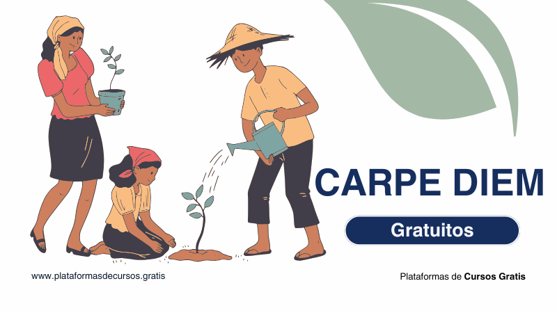 Cursos Carpe Diem: Conoce Su Oferta Educativa