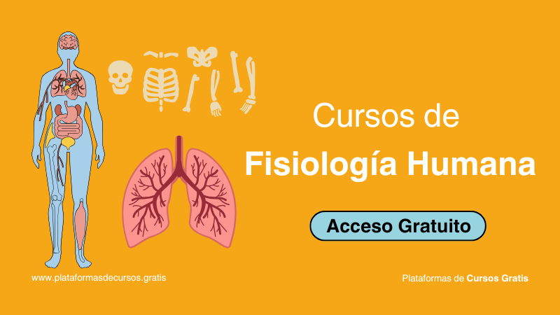 Cursos de Fisiología Humana Gratis: Descubre Dónde Encontrarlos