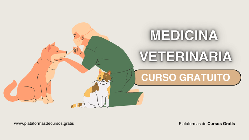 Deja Fluir tu Interés Por Los Animales y Aprende a Cuidarlos: Curso de Medicina Veterinaria