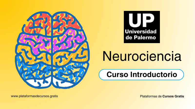 Domina tu Estado de Ánimo Con Este Curso de Neurociencia