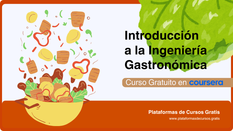 Ingeniería Gastronómica: Transforma tu Pasión Por la Cocina en Ciencia