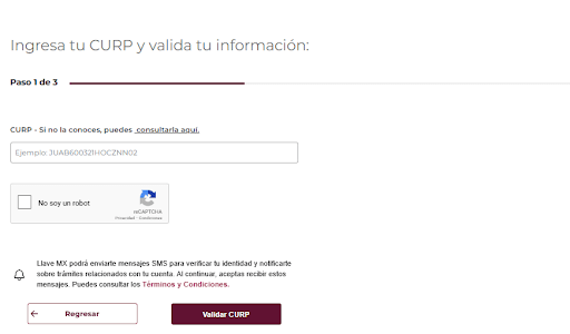 Ingresar y Validar tu CURP
