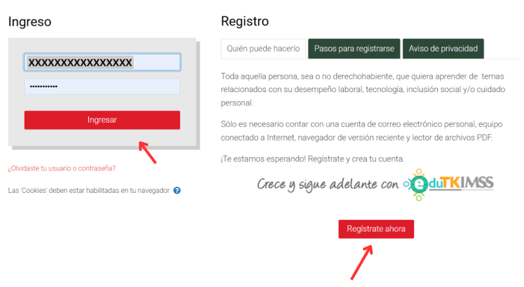 Opción de Ingreso y Registro a la Plataforma
